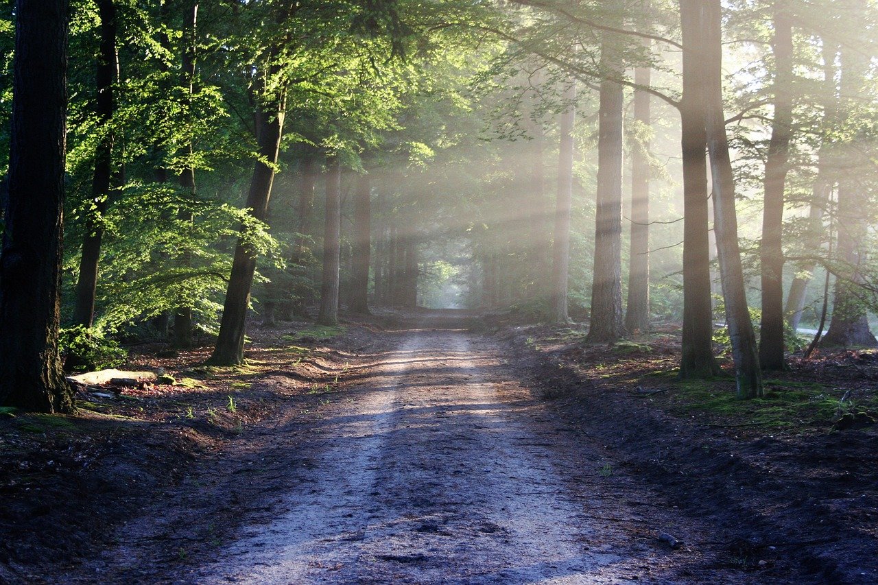 The light shines brighter in the dark. Whatever it is you're facing, let the light guide you.